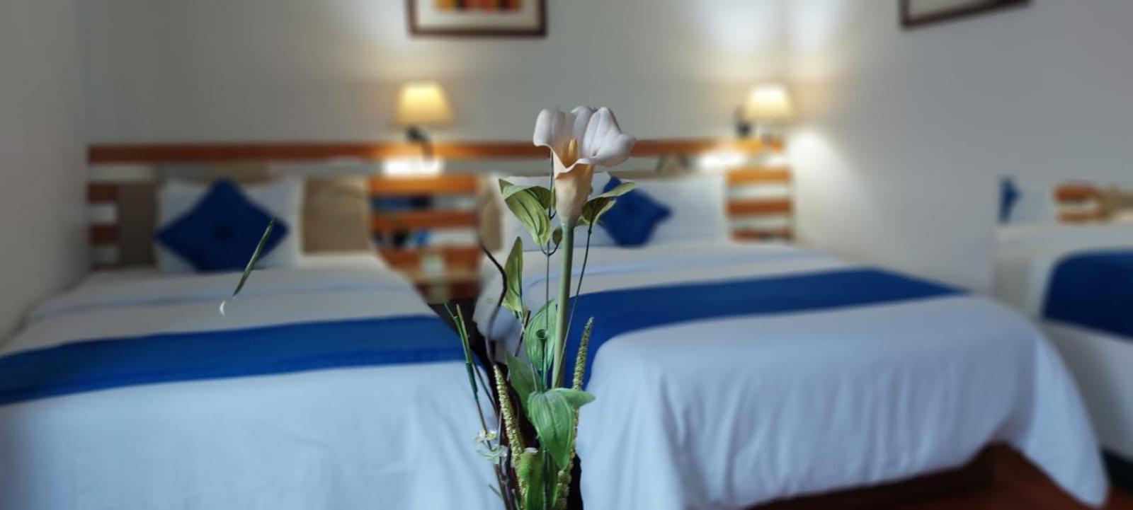 Blue Star Hotel Λίμα Εξωτερικό φωτογραφία